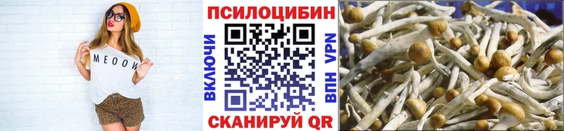Галлюциногенные грибы Psilocybe  как найти закладки  Торжок 